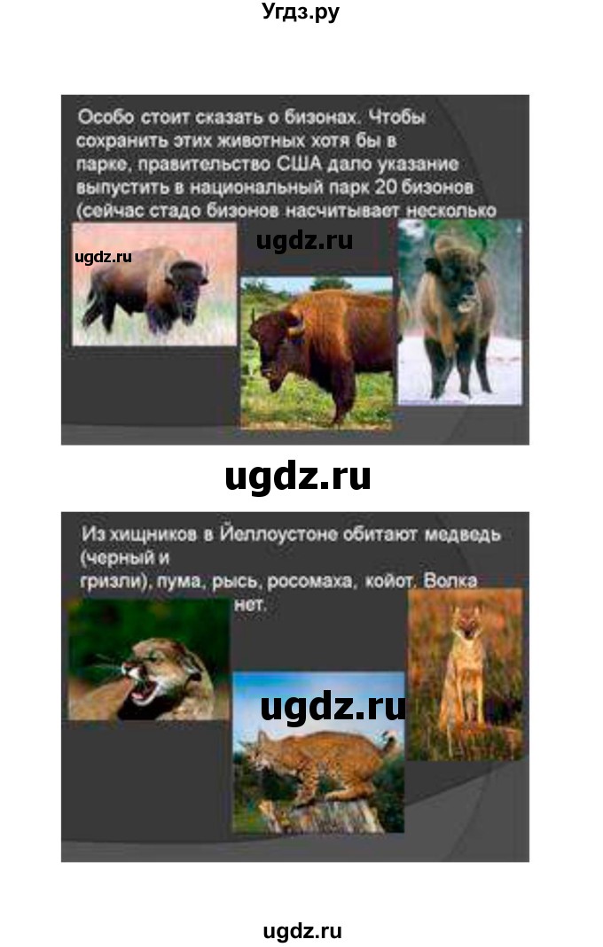 ГДЗ (Решебник 2022) по географии 7 класс Коринская В.А. / страница / 226(продолжение 6)