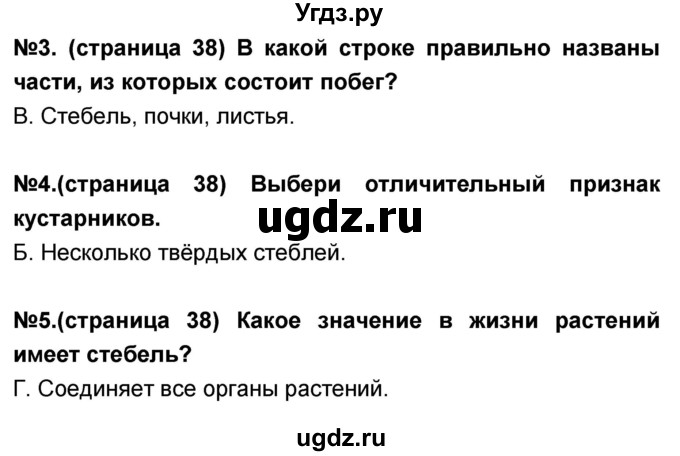 ГДЗ (Решебник) по окружающему миру 3 класс (тесты и самостоятельные работы для текущего контроля) Потапов И.В. / страница номер / 38