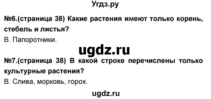 ГДЗ (Решебник) по окружающему миру 3 класс (тесты и самостоятельные работы для текущего контроля) Потапов И.В. / страница номер / 38(продолжение 2)