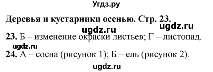 ГДЗ (Решебник 2022) по окружающему миру 2 класс (тесты) Плешаков А.А. / страница / 23