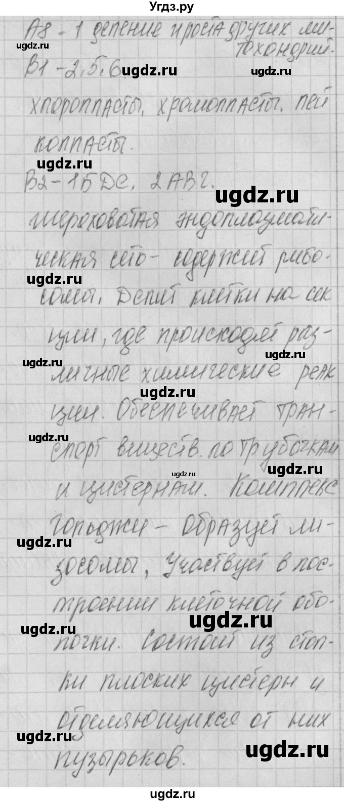 ГДЗ (Решебник 2017) по биологии 9 класс (контрольно-измерительные материалы) Богданов Н.А. / тест 9. вариант / 2(продолжение 2)