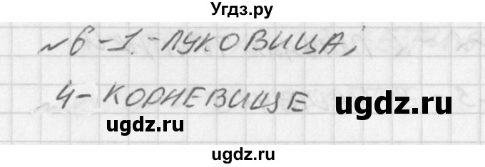 ГДЗ (Решение) по биологии 6 класс (контрольно-измерительные материалы) Богданов Н.А. / тест 8. вариант / 2(продолжение 2)