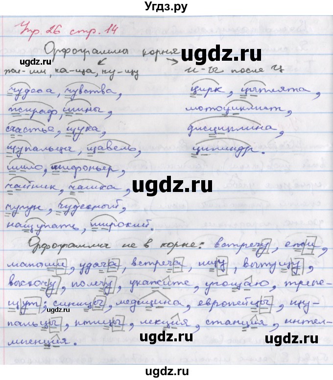 ГДЗ (Решебник) по русскому языку 6 класс (рабочая тетрадь Орфография) Ларионова Л.Г. / упражнение / 26