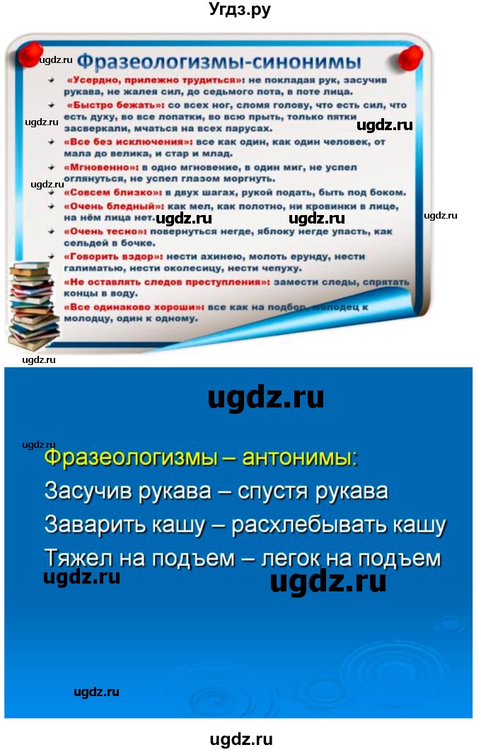 ГДЗ (Решебник) по русскому языку 10 класс Бабайцева В.В. / пвторение лексикологии / 17(продолжение 2)