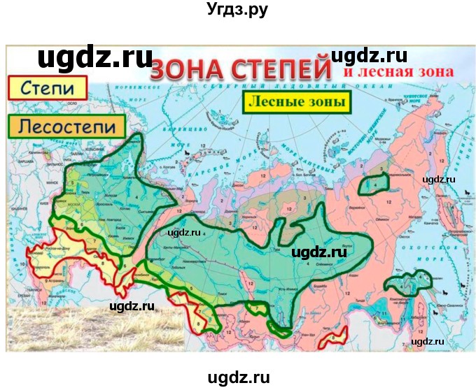 ГДЗ (Решебник) по географии 5 класс А.А. Летягин / параграф номер / 22(продолжение 4)