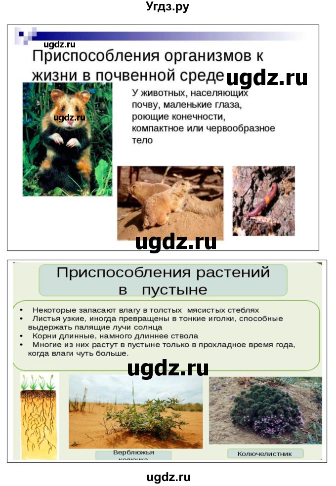 ГДЗ (Решебник к учебнику 2018) по географии 8 класс Пятунин В.Б. / параграф / 31(продолжение 3)