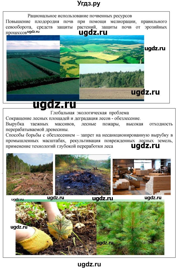 ГДЗ (Решебник к учебнику 2018) по географии 8 класс Пятунин В.Б. / вопросы для обобщения и повторения / стр.297(продолжение 9)