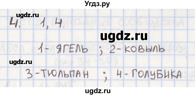 ГДЗ (Решебник) по окружающему миру 4 класс (предварительный, текущий и итоговый контроль) Глаголева Ю.И. / страница номер / 29(продолжение 2)