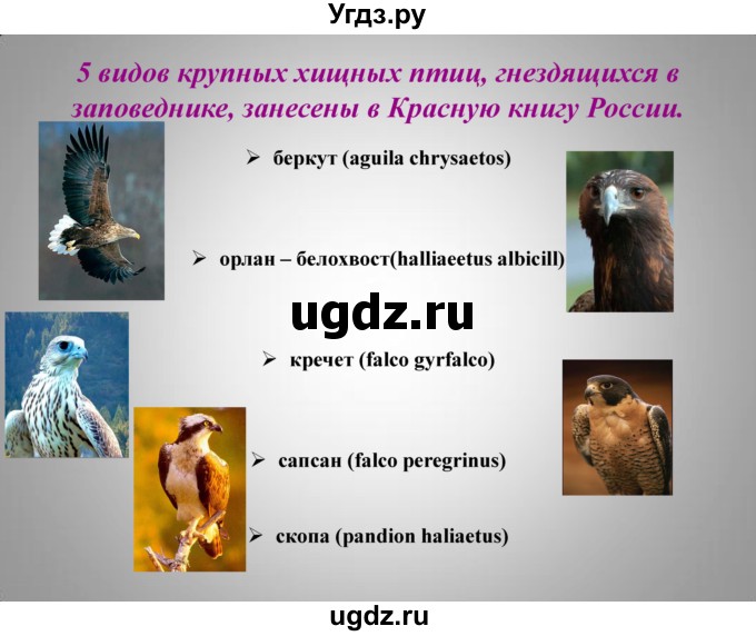 ГДЗ (Решебник к учебнику 2016) по географии 9 класс Таможняя Е.А. / учебник 2016 / презентация / § 29, стр. 183(продолжение 24)