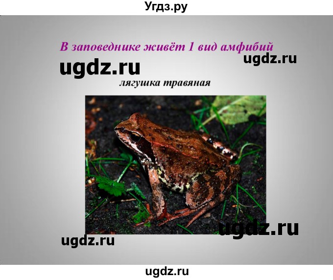 ГДЗ (Решебник к учебнику 2016) по географии 9 класс Таможняя Е.А. / учебник 2016 / презентация / § 29, стр. 183(продолжение 28)