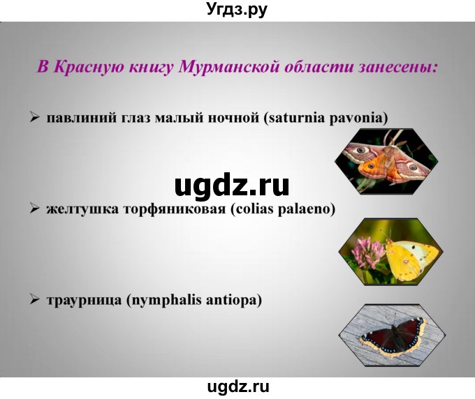 ГДЗ (Решебник к учебнику 2016) по географии 9 класс Таможняя Е.А. / учебник 2016 / презентация / § 29, стр. 183(продолжение 31)