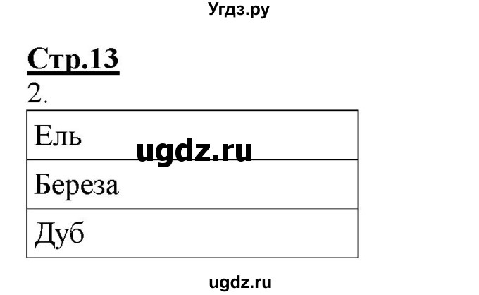 ГДЗ (Решебник) по информатике 2 класс (рабочая тетрадь) Матвеева Н.В. / часть 1. страница номер / 13