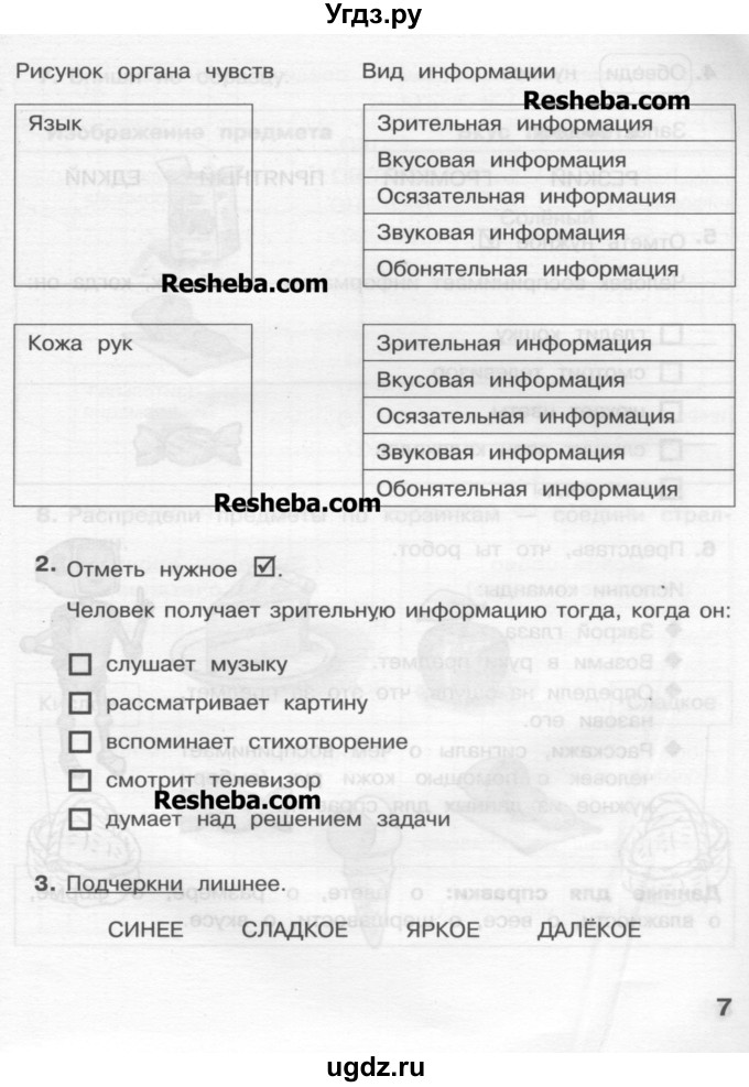 ГДЗ (Учебник) по информатике 2 класс (рабочая тетрадь) Матвеева Н.В. / часть 1. страница номер / 7