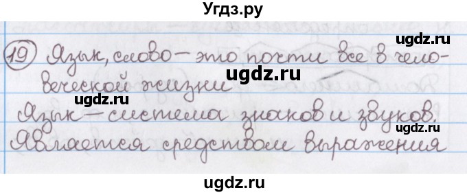 ГДЗ (Решебник №1) по русскому языку 11 класс Мурина Л.А. / упражнение номер / 19