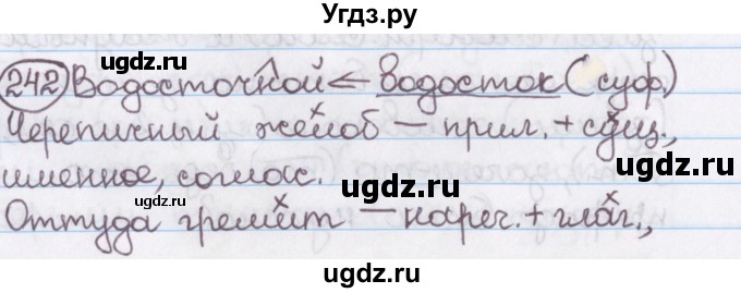 ГДЗ (Решебник №1) по русскому языку 11 класс Л.A. Мурина / упражнение номер / 242