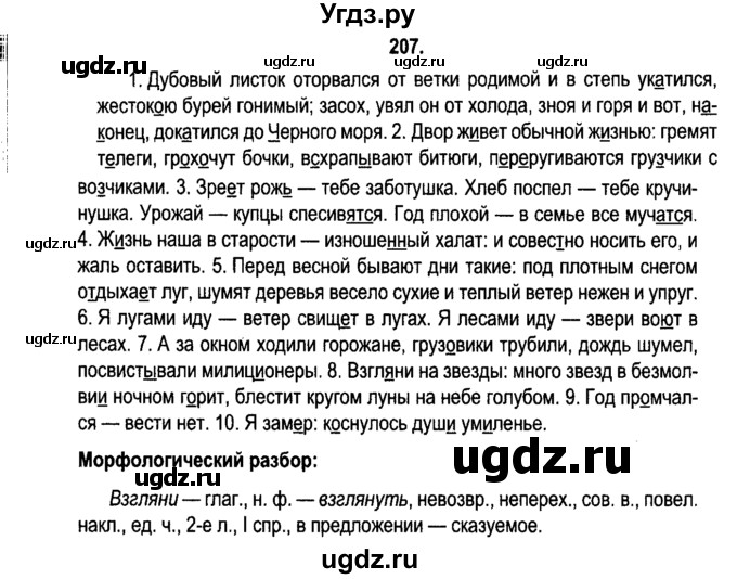 ГДЗ (Решебник №2) по русскому языку 11 класс Л.A. Мурина / упражнение номер / 207