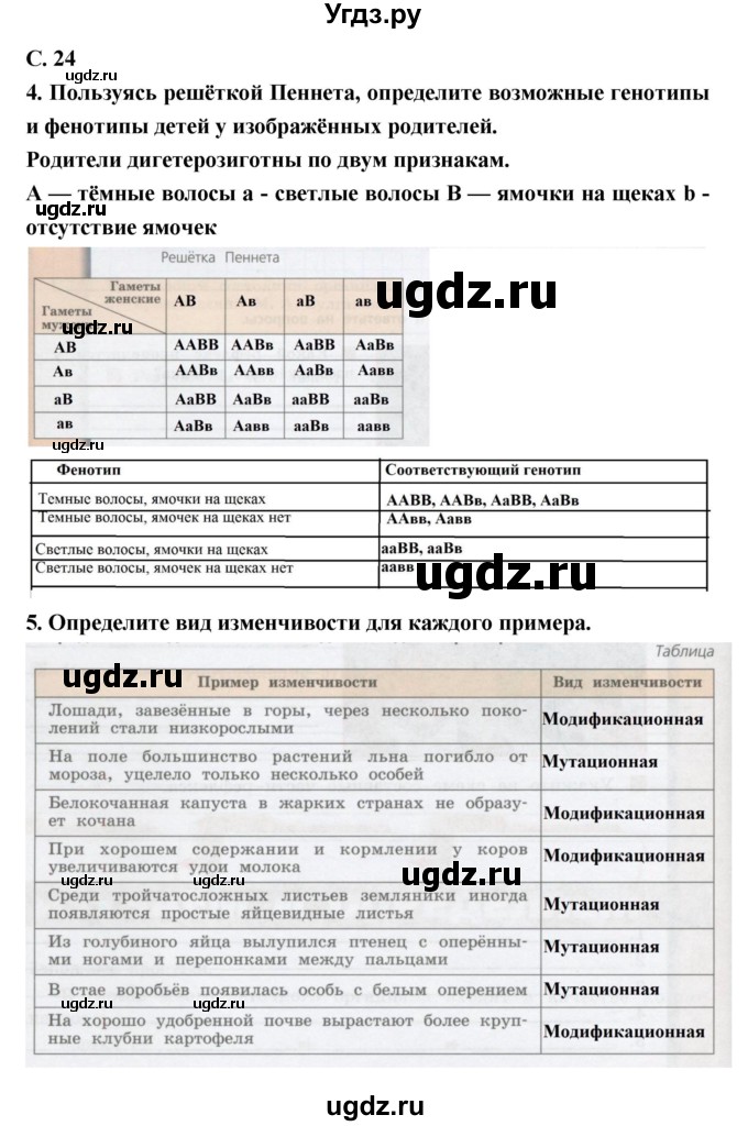 ГДЗ (Решебник) по биологии 9 класс (тетрадь-тренажер) Сухорукова Л.Н. / страница-№ / 24