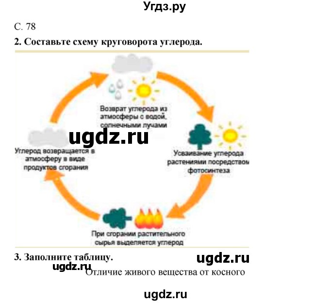 ГДЗ (Решебник) по биологии 9 класс (тетрадь-тренажер) Сухорукова Л.Н. / страница-№ / 78