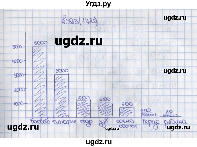 ГДЗ (Решебник) по математике 6 класс Виленкин Н.Я. / часть 2. упражнение / 593 (1482)