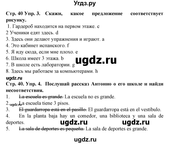 ГДЗ (Решебник) по испанскому языку 6 класс Гриневич Е.К. / страница номер / 40