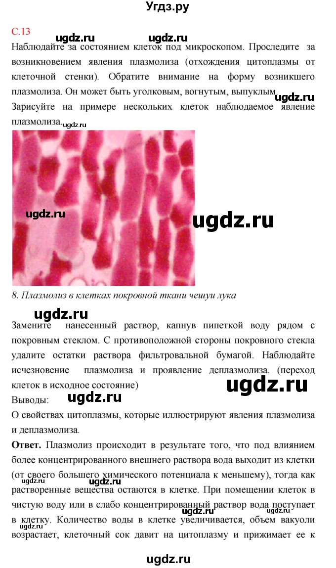 ГДЗ (Решебник к тетради 2018) по биологии 10 класс (тетрадь-практикум) Сухорукова Л.Н. / страница / 13