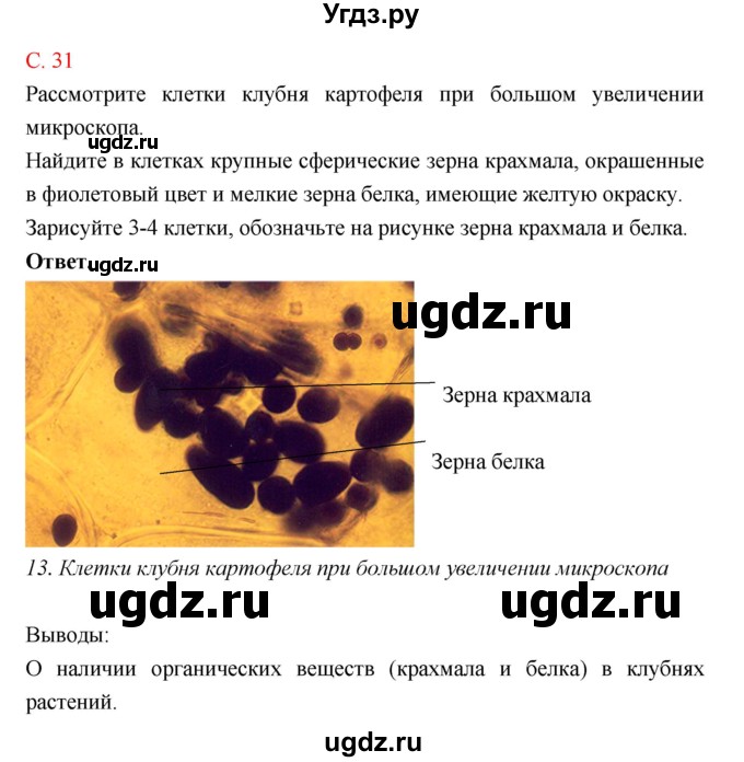 ГДЗ (Решебник к тетради 2018) по биологии 10 класс (тетрадь-практикум) Сухорукова Л.Н. / страница / 31