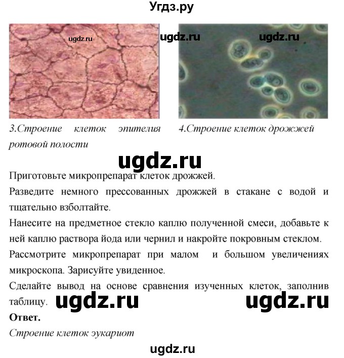 ГДЗ (Решебник к тетради 2018) по биологии 10 класс (тетрадь-практикум) Сухорукова Л.Н. / страница / 9(продолжение 2)