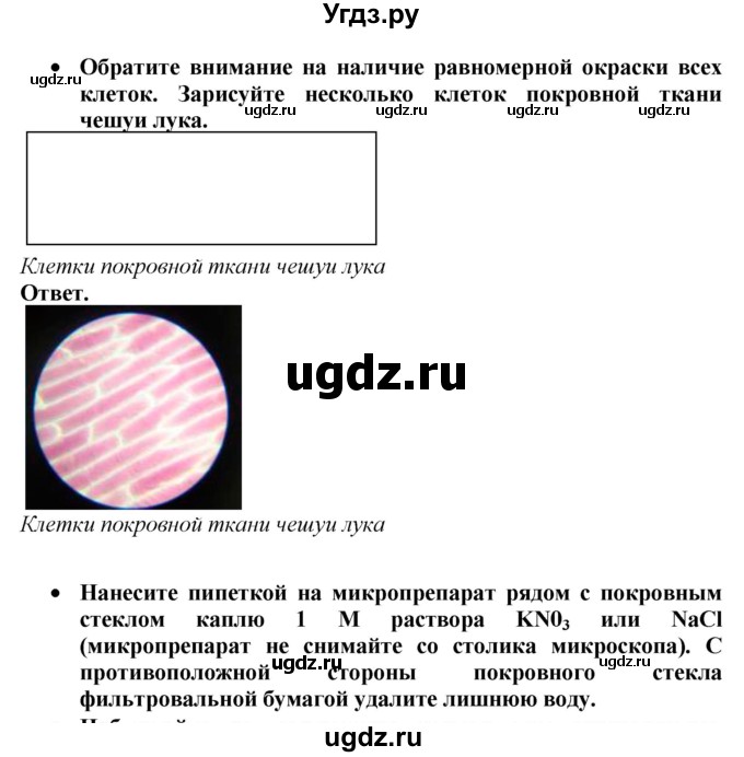 ГДЗ (Решебник к тетради 2020) по биологии 10 класс (тетрадь-практикум) Сухорукова Л.Н. / страница / 12(продолжение 2)