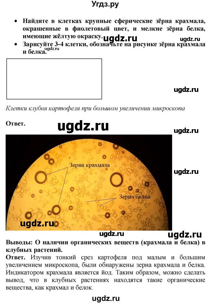 ГДЗ (Решебник к тетради 2020) по биологии 10 класс (тетрадь-практикум) Сухорукова Л.Н. / страница / 31(продолжение 2)