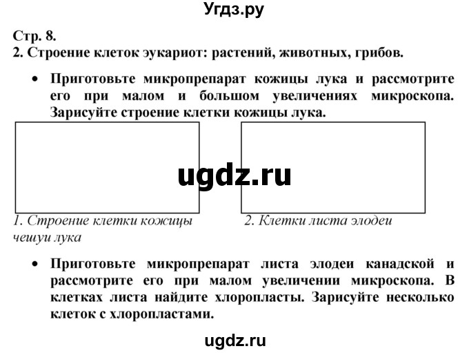 ГДЗ (Решебник к тетради 2020) по биологии 10 класс (тетрадь-практикум) Сухорукова Л.Н. / страница / 8