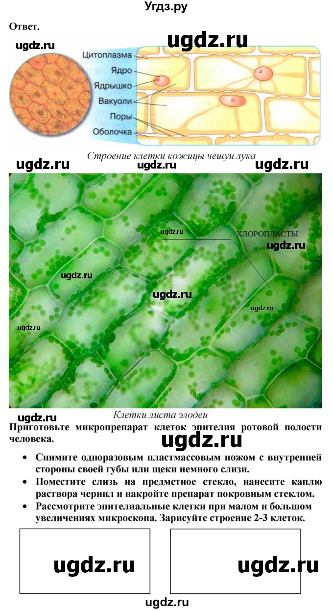 ГДЗ (Решебник к тетради 2020) по биологии 10 класс (тетрадь-практикум) Сухорукова Л.Н. / страница / 8(продолжение 2)