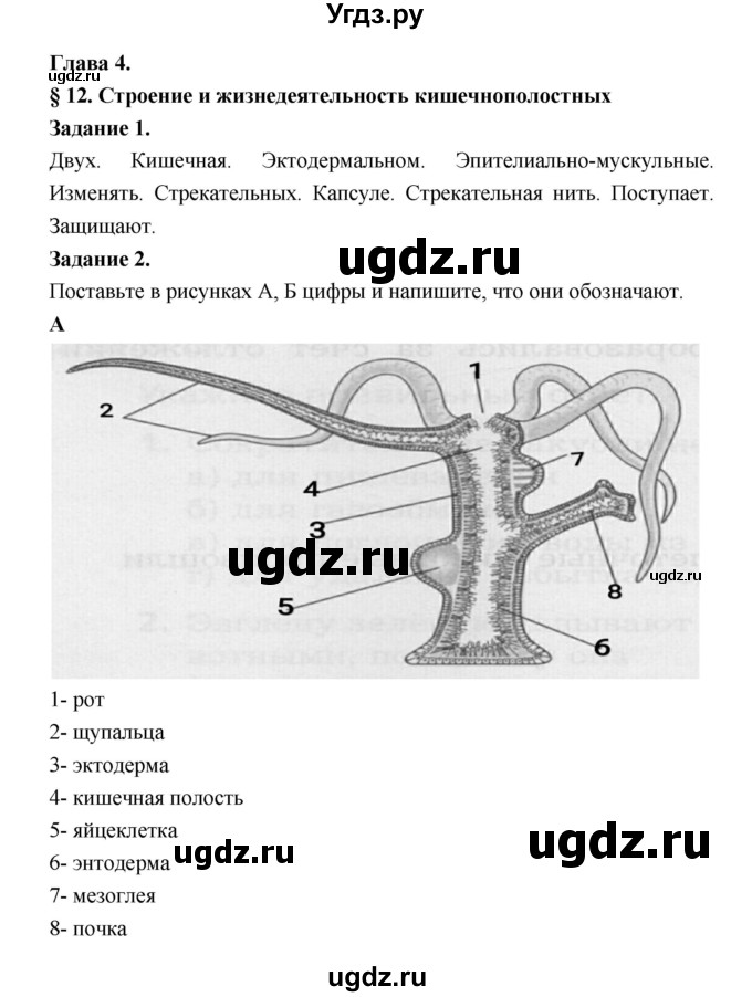 ГДЗ (Решебник) по биологии 7 класс (рабочая тетрадь) Суматохин С.В. / § / § 12