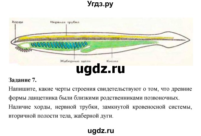 ГДЗ (Решебник) по биологии 7 класс (рабочая тетрадь) Суматохин С.В. / § / § 29(продолжение 3)