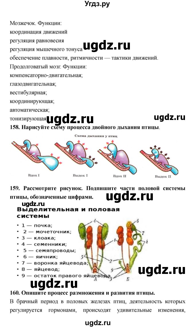 ГДЗ (Решебник) по биологии 8 класс (рабочая тетрадь) Захаров В.Б. / страница-№ / 100–111(продолжение 7)