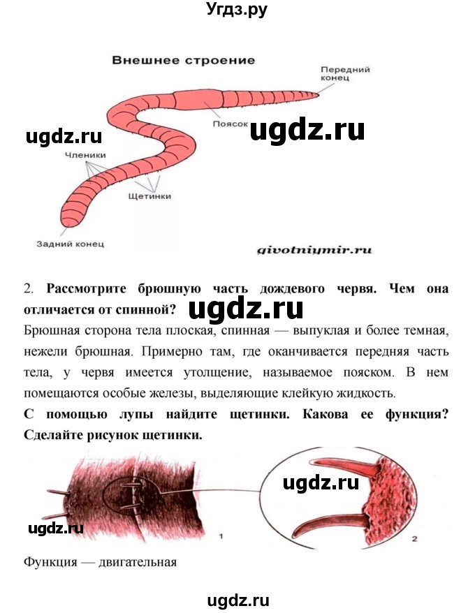 ГДЗ (Решебник) по биологии 8 класс (рабочая тетрадь) Захаров В.Б. / страница-№ / 34–38(продолжение 5)