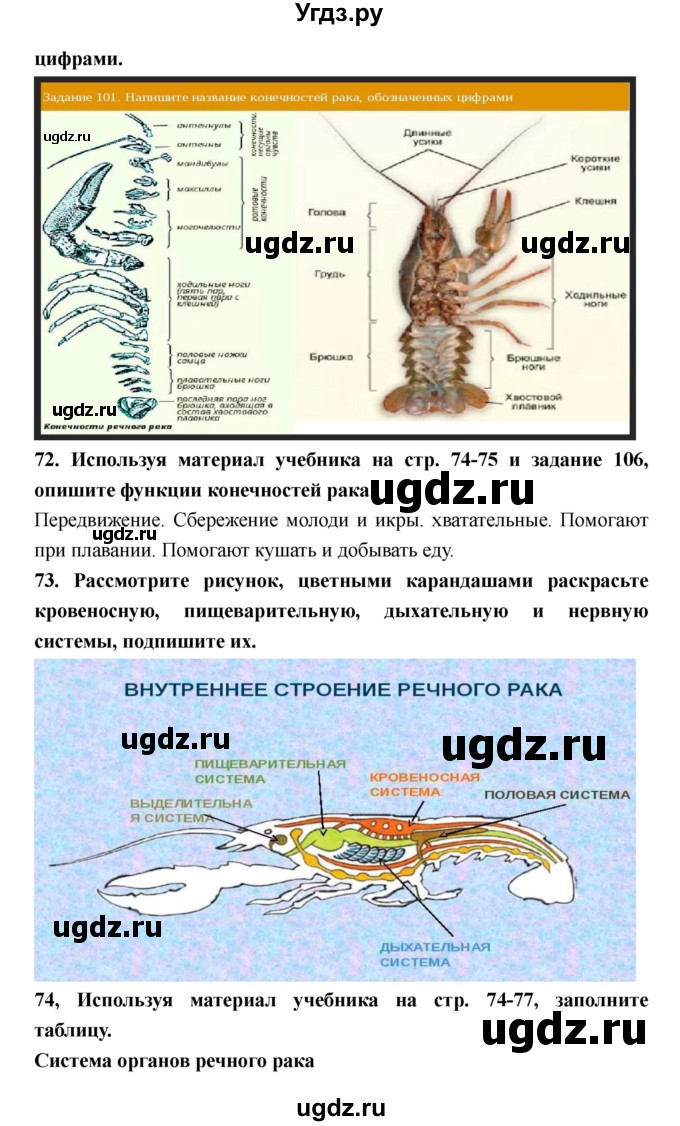 ГДЗ (Решебник) по биологии 8 класс (рабочая тетрадь) Захаров В.Б. / страница-№ / 49–52(продолжение 3)