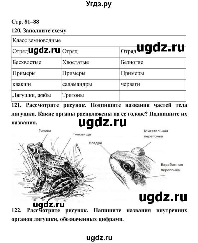 ГДЗ (Решебник) по биологии 8 класс (рабочая тетрадь) Захаров В.Б. / страница-№ / 81–88