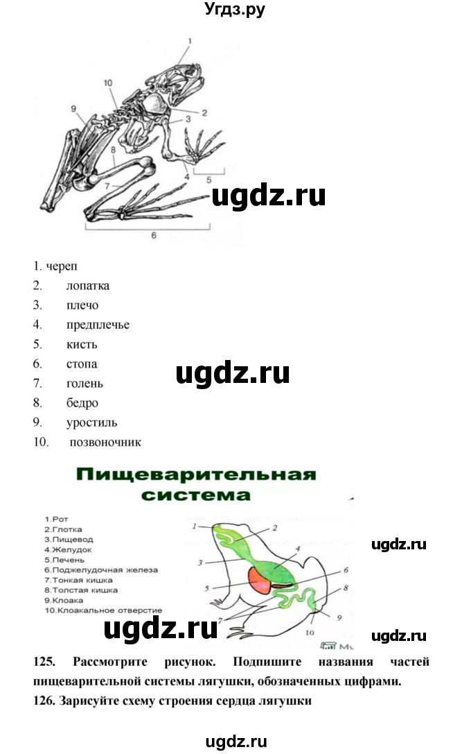 ГДЗ (Решебник) по биологии 8 класс (рабочая тетрадь) Захаров В.Б. / страница-№ / 81–88(продолжение 3)