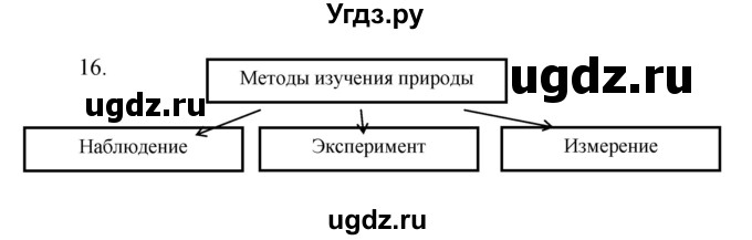 ГДЗ (Решебник) по биологии 5 класс (рабочая тетрадь) Сонин Н.И. / упражнение номер / 16