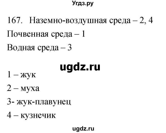 ГДЗ (Решебник) по биологии 5 класс (рабочая тетрадь) Сонин Н.И. / упражнение номер / 167