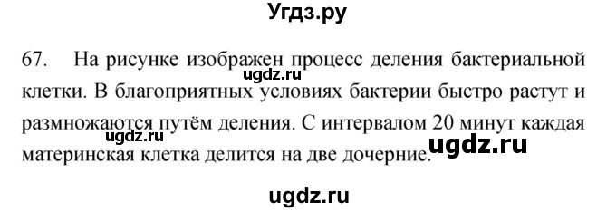 ГДЗ (Решебник) по биологии 5 класс (рабочая тетрадь) Сонин Н.И. / упражнение номер / 67