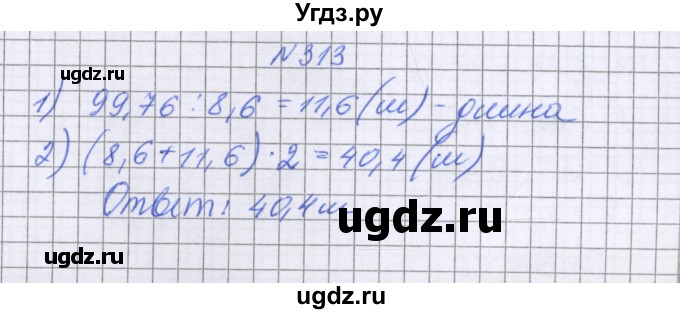 ГДЗ (Решебник к учебнику 2016) по математике 6 класс Герасимов В.Д. / глава 1 / упражнение / 313