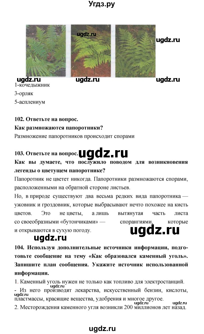 ГДЗ (Решебник) по биологии 5 класс (рабочая тетрадь) Н. И. Сонин / § / 15(продолжение 2)