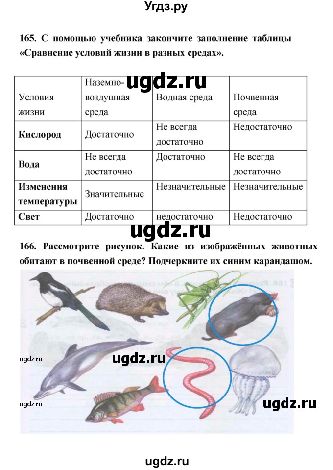 ГДЗ (Решебник) по биологии 5 класс (рабочая тетрадь) Н. И. Сонин / § / 23(продолжение 2)