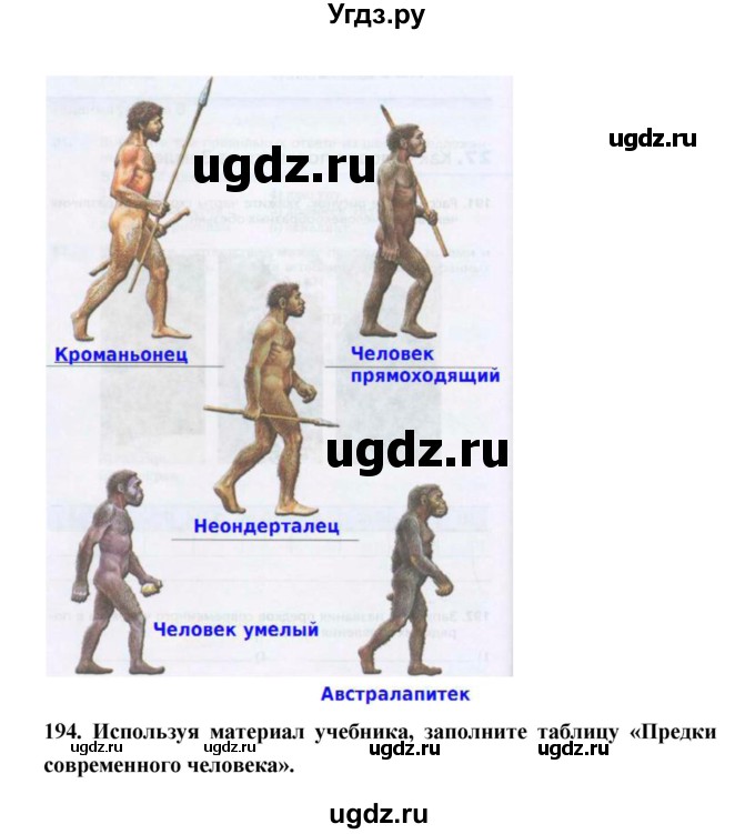 ГДЗ (Решебник) по биологии 5 класс (рабочая тетрадь) Н. И. Сонин / § / 27(продолжение 2)