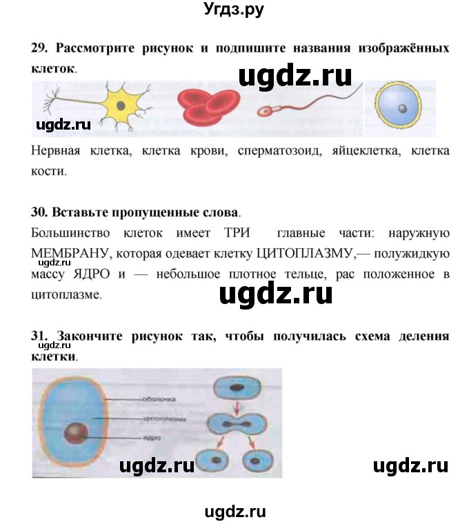 ГДЗ (Решебник) по биологии 5 класс (рабочая тетрадь) Н. И. Сонин / § / 5. Лабораторная работа(продолжение 2)