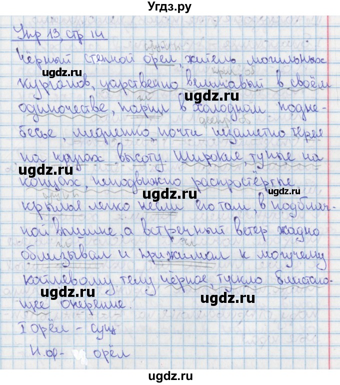 ГДЗ (Решебник 2014) по русскому языку 9 класс (рабочая тетрадь) Ефремова Е.А. / упражнение / 13