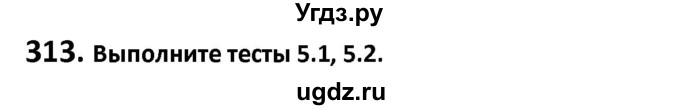 ГДЗ (Решебник к учебнику 2019) по русскому языку 9 класс Л.A. Мурина / упражнение / 313