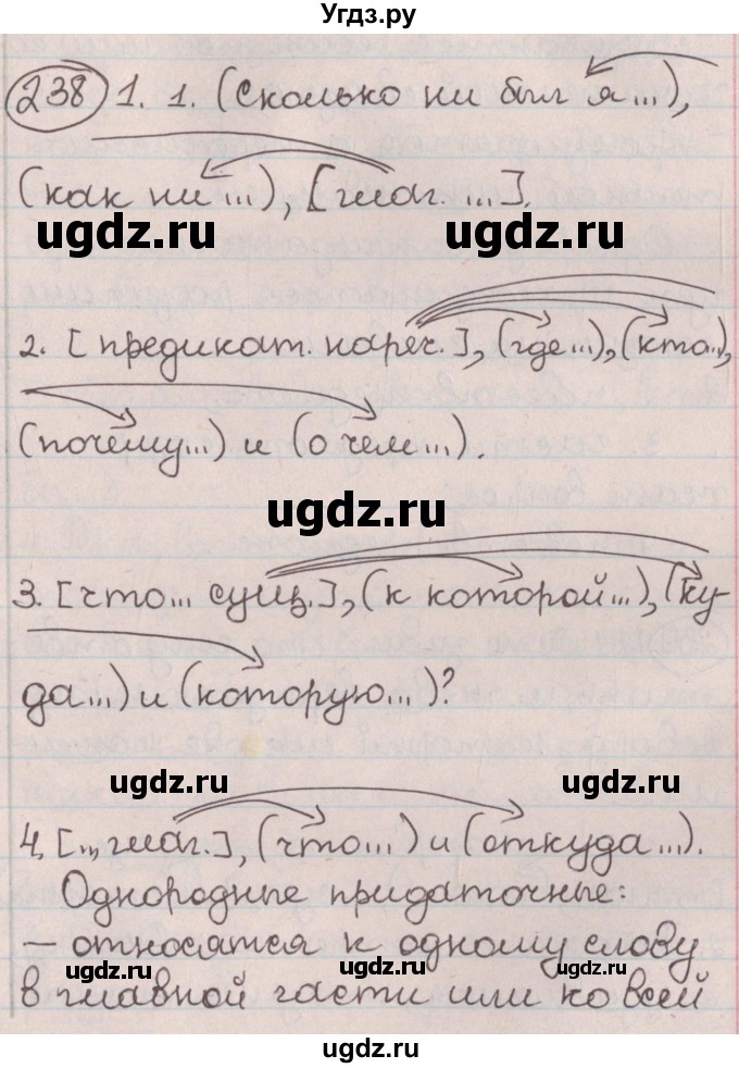 ГДЗ (Решебник №1) по русскому языку 9 класс Л.A. Мурина / упражнение / 238