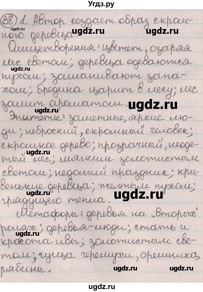 ГДЗ (Решебник №1) по русскому языку 9 класс Л.A. Мурина / упражнение / 38